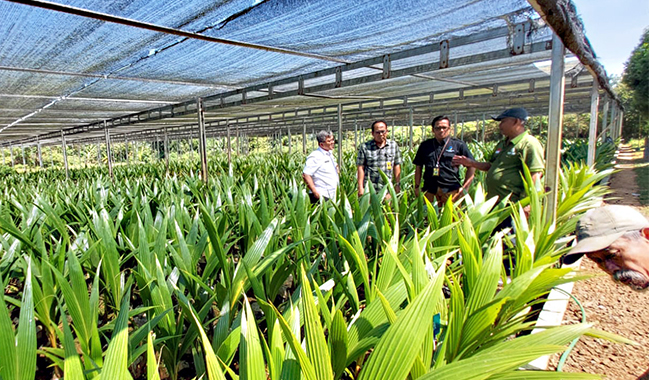 BPSI-TRI Kementerian Pertanian Beri Bibit Kopi & Kelapa Kepada Unsoed