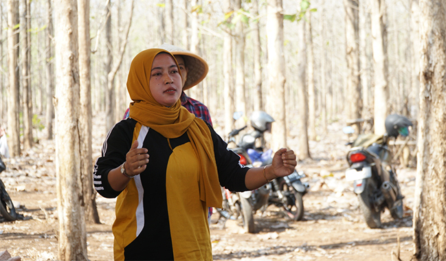 Unsoed Panen Perdana Tebu di Pemalang Bersama Perhutani dan Pabrik Gula Sragi
