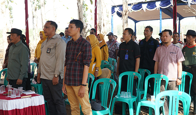 Unsoed Panen Perdana Tebu di Pemalang Bersama Perhutani dan Pabrik Gula Sragi