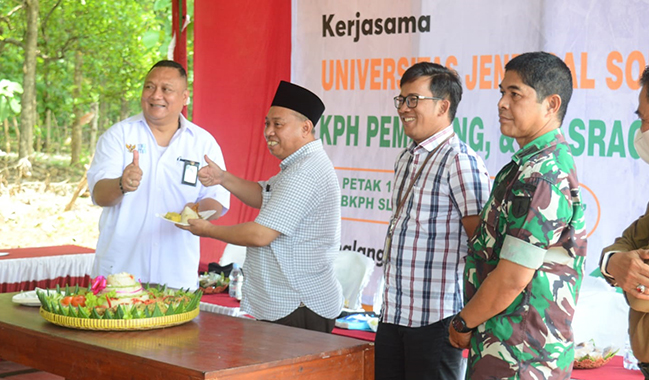 Unsoed, KPH Pemalang, dan PG Sragi Tanam Perdana Tanaman Tebu di Pemalang