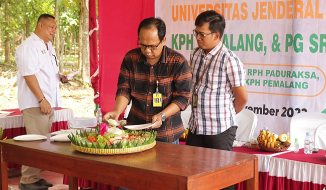 Unsoed, KPH Pemalang, dan PG Sragi Tanam Perdana Tanaman Tebu di Pemalang