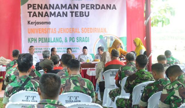 Unsoed, KPH Pemalang, dan PG Sragi Tanam Perdana Tanaman Tebu di Pemalang