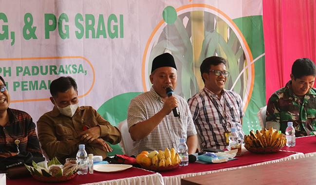 Unsoed, KPH Pemalang, dan PG Sragi Tanam Perdana Tanaman Tebu di Pemalang